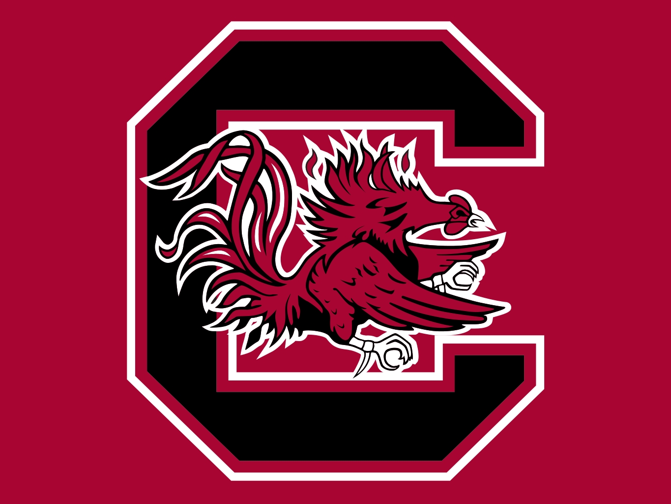 Image South Carolina Gamecocks.jpg NCAA Football Wiki Wikia