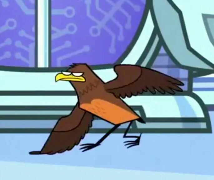 Super Robin (Bird) - Teen Titans Go! Wiki - Wikia