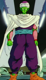 Piccolo torneo 23º