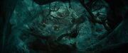 Spiders Mirkwood