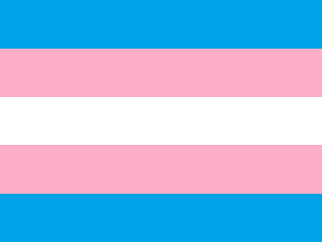 Image Trans Pride Flag Png Gender Wiki