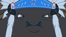 Chief Thunderhooves characters.png