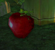 Ripe Crispfruit