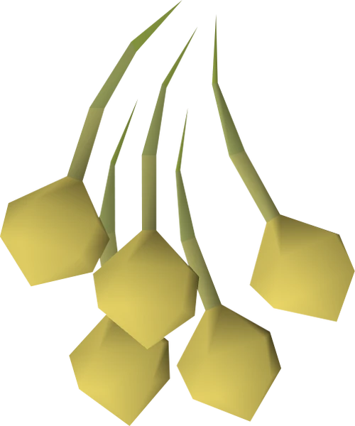 Onion seed RuneScape Wiki Wikia