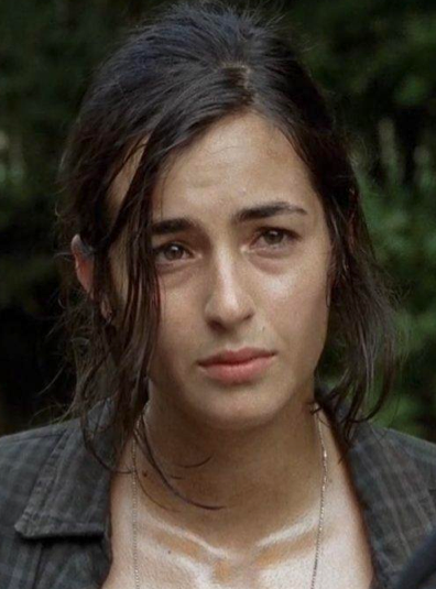 Tara Chambler Wiki The Walking Dead