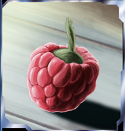 Wasaka berry
