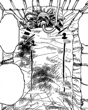 Condicion de gon
