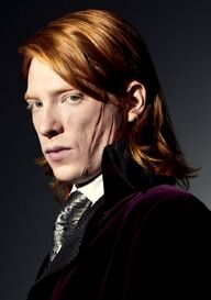 P7 Bill Weasley-1-