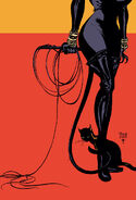 Arquivos Ultra Secretos dos Super Heróis e Super Vilões 125px-Catwoman_006