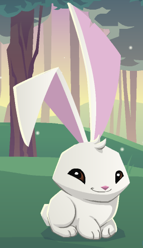 Bunny - Animal Jam Wiki