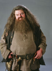 Rubeus-hagrid