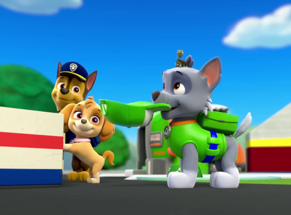 paw patrol movie turtle