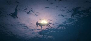 GTAVHammerhaie