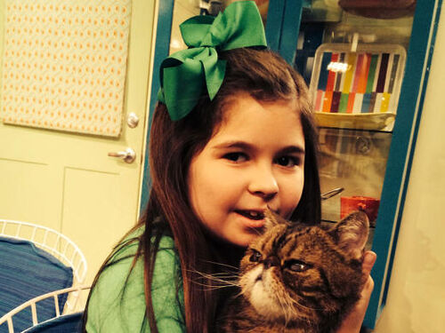 Addison Riecke The Thundermans Wiki Wikia | addison riecke the thundermans wiki wikia Addison Riecke The Thundermans Wiki Wikia | addison riecke the thundermans wiki wikia
