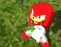 Knuckles bemused