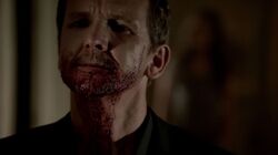 Normal TheOriginals122-0973
