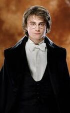Harry Potter (GoF-07)
