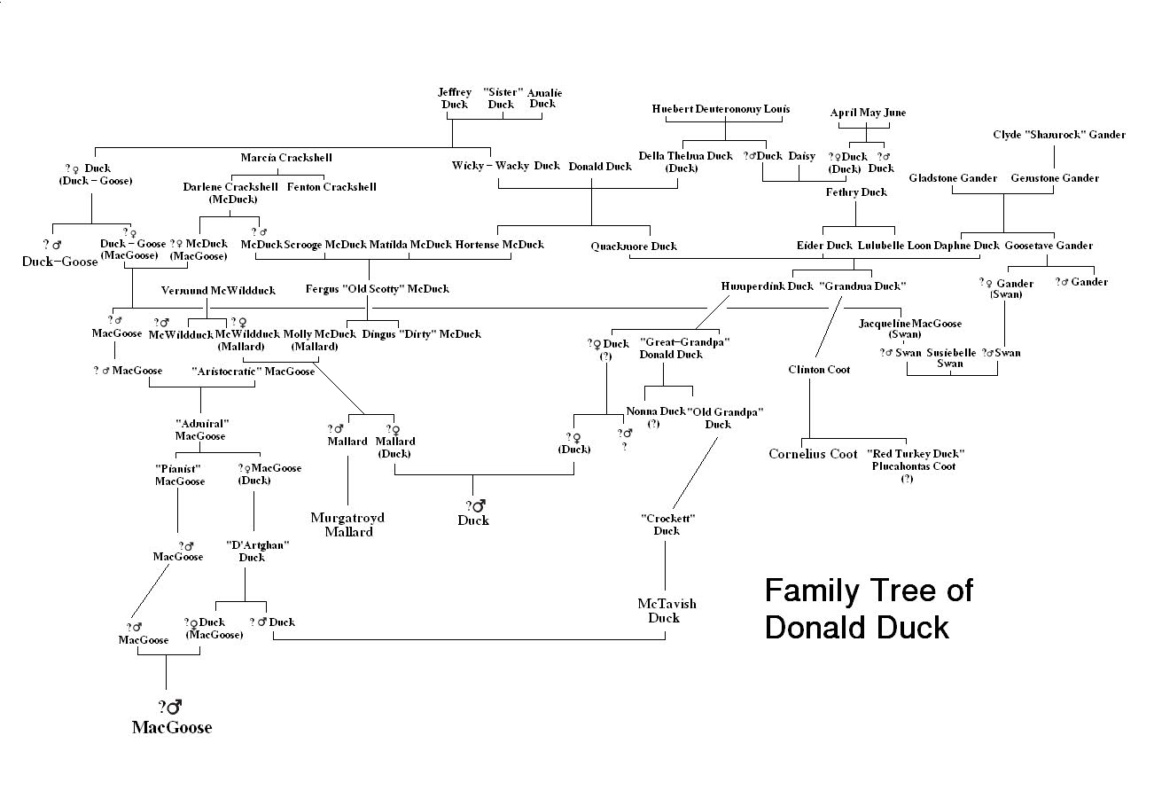 Un nouvel arbre généalogique de la famille canard Picsou Wiki Tout sur l