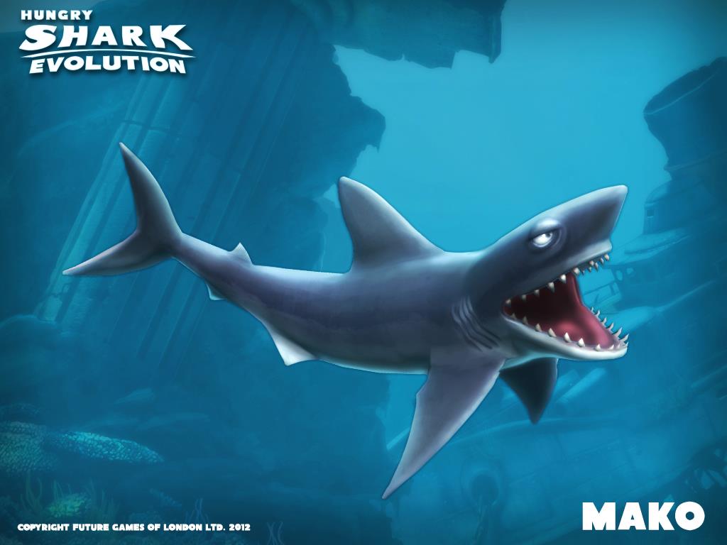 mako shark plush