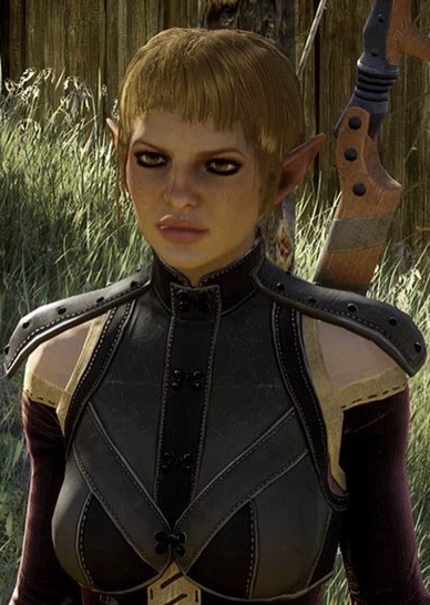 elf update dragon age