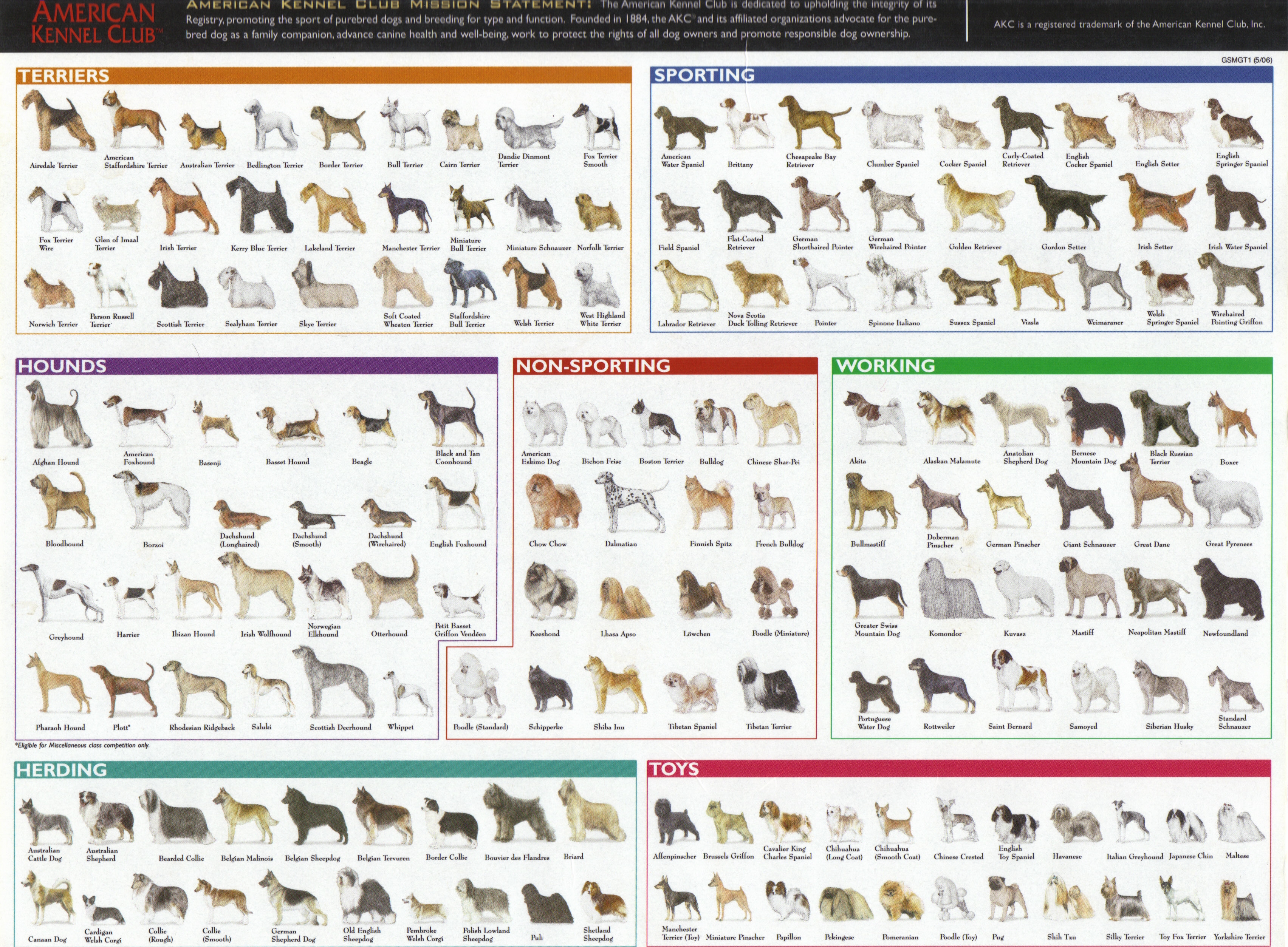 Dog Breeds Wiki Navigation