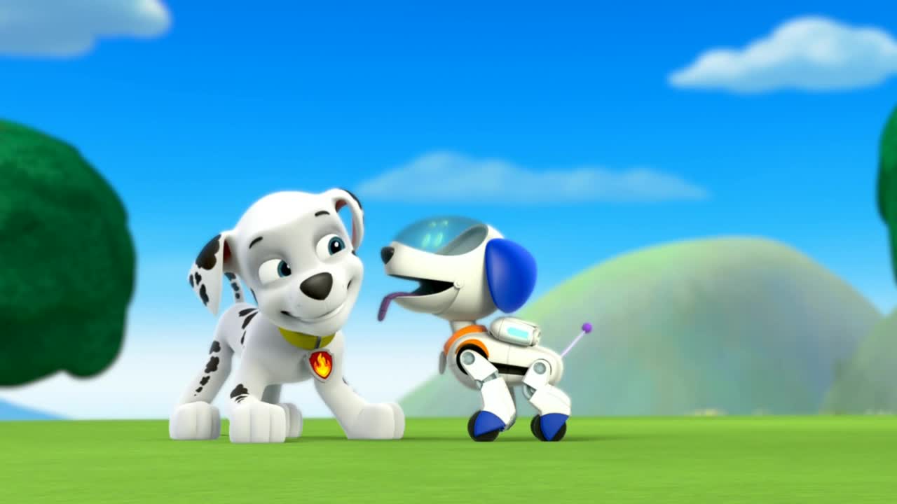 pups save ryder's robot