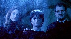 Potter family2