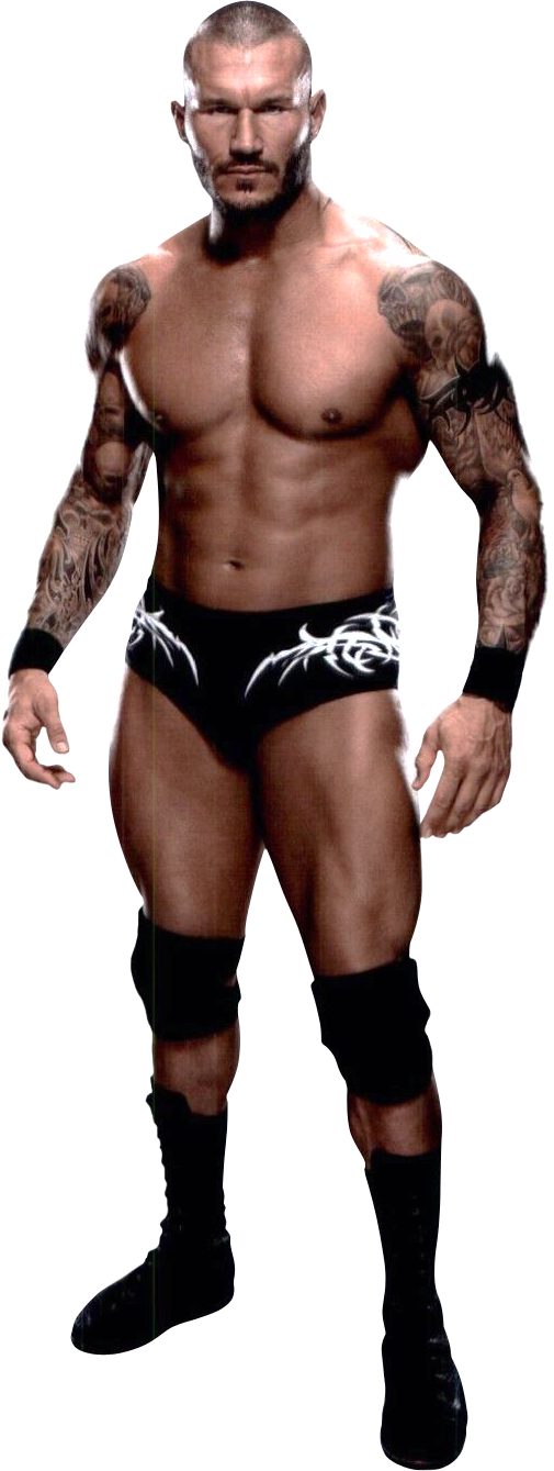 http://img3.wikia.nocookie.net/__cb20140730144310/prowrestling/images/4/4f/Randy_orton_28.png