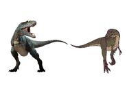 march of the dinosaurs gorgosaurus