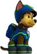 spy dru chase