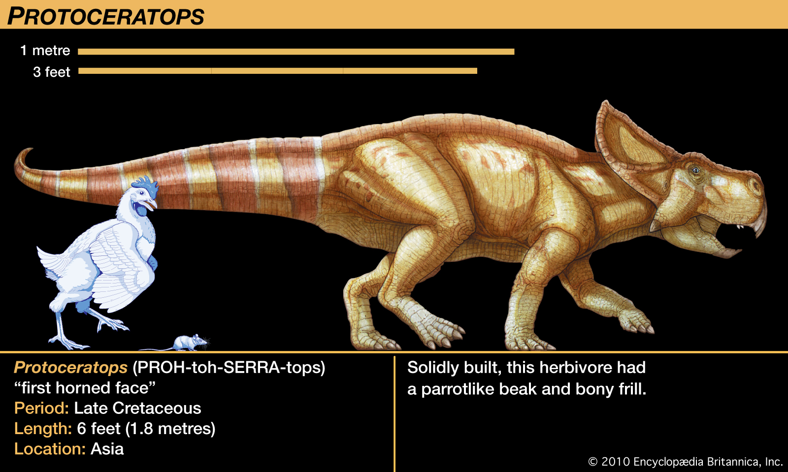 dinopedia