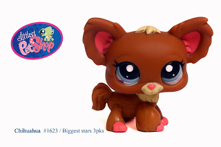 lps chihuahua 219