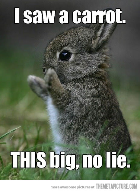 Funny-cute-baby-bunny-carrot.jpg