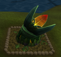 Wishing well6