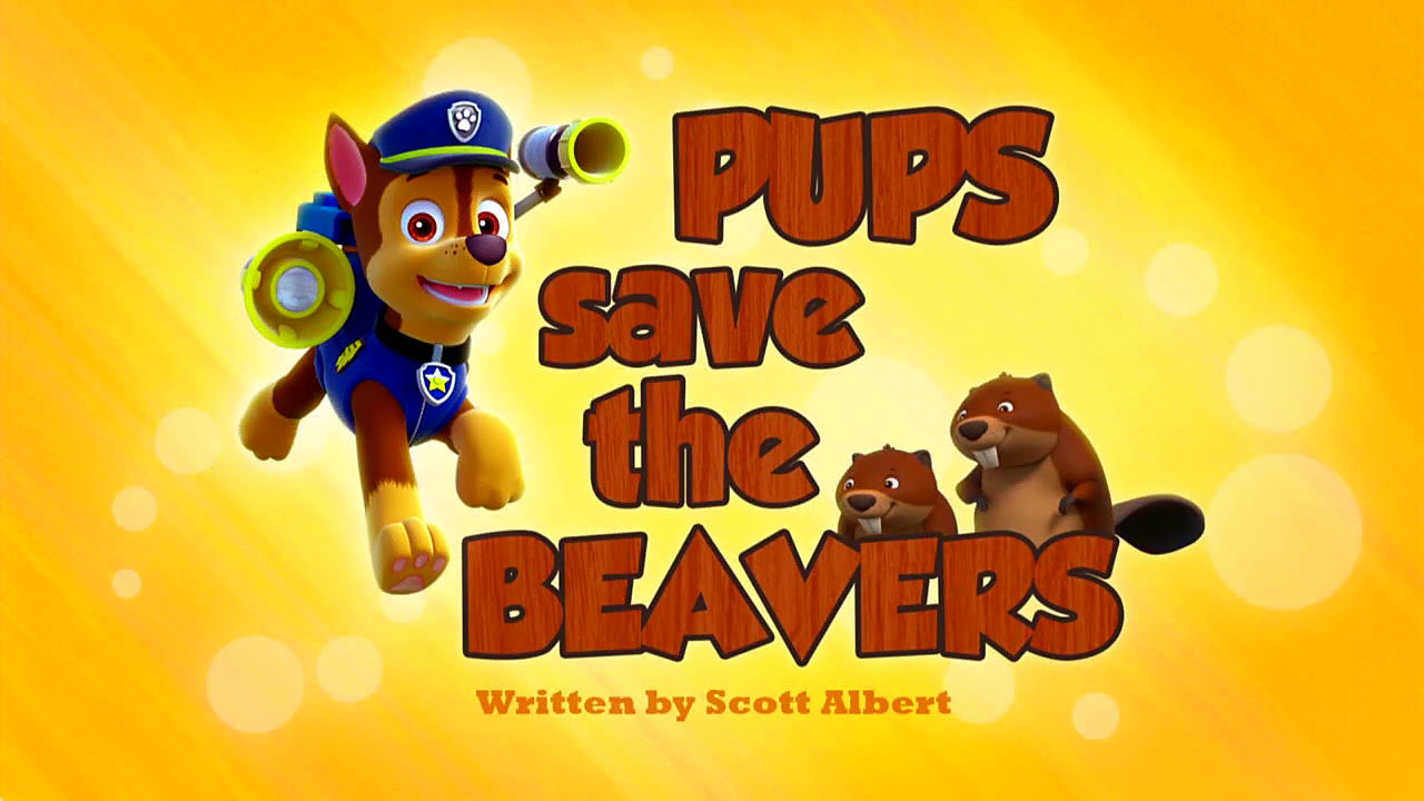 pups save a sneezy chase