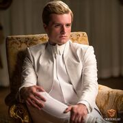 Mockingjay4