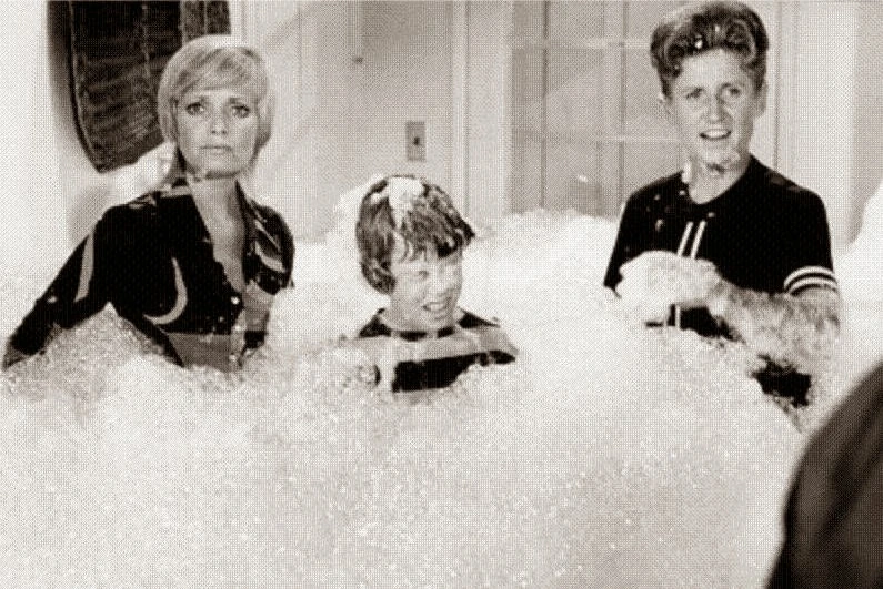 EpisodeLaw and Disorder The Brady Bunch Wiki The Brady Bunch