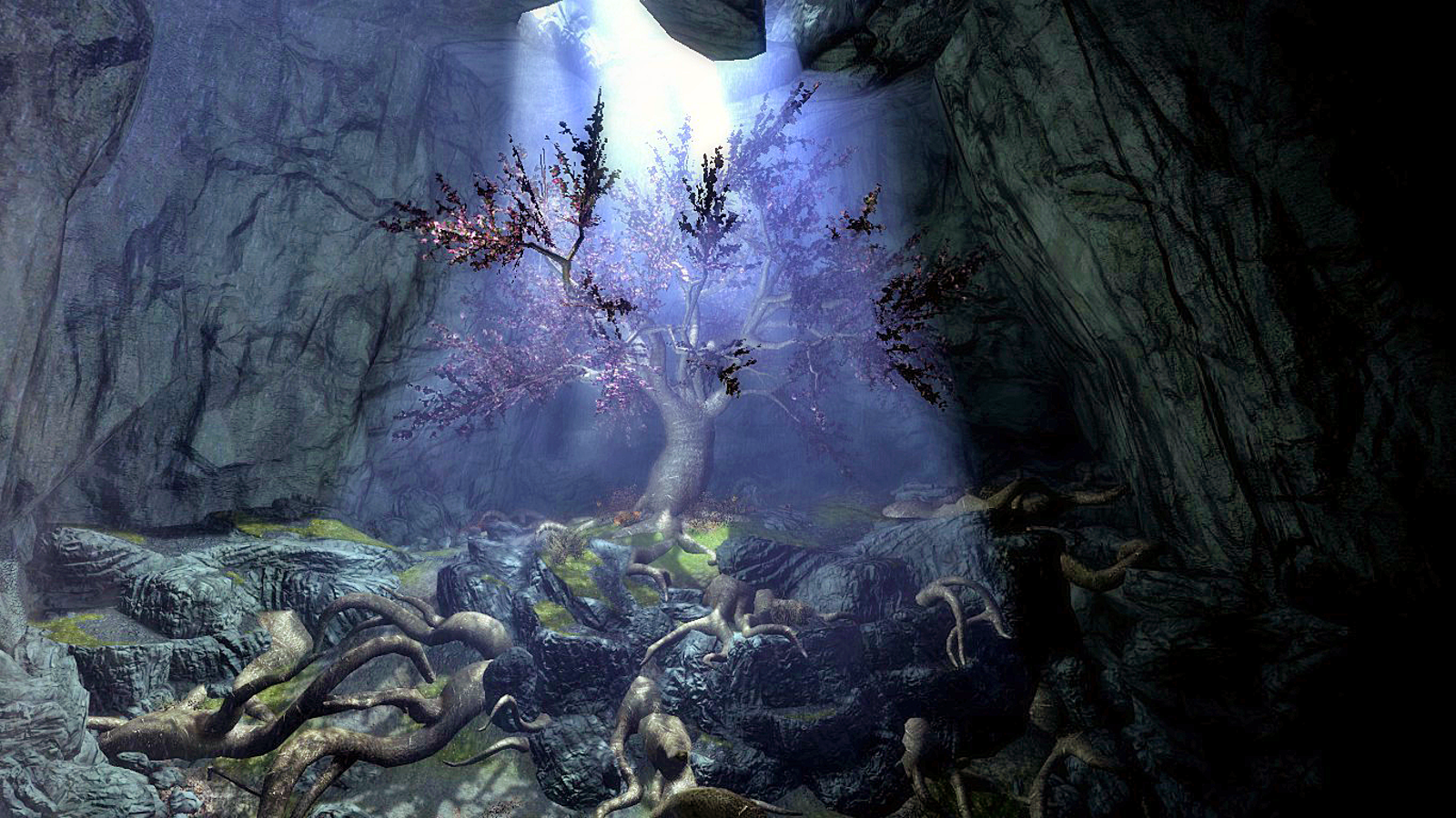 Eldergleam Sanctuary is a cave located in southern central Skyrim. 