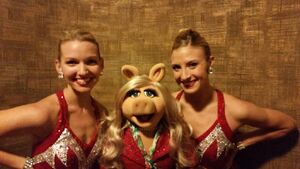 Piggyrockettes