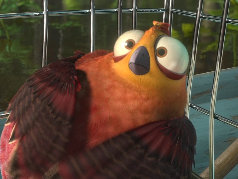 Amazon Quail Rio Wiki