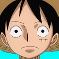 Monkey D. Luffy Pre Timeskip Portrait