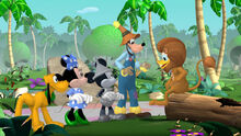 Mickey-Dizz