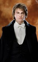 Harry Potter (GoF-07)