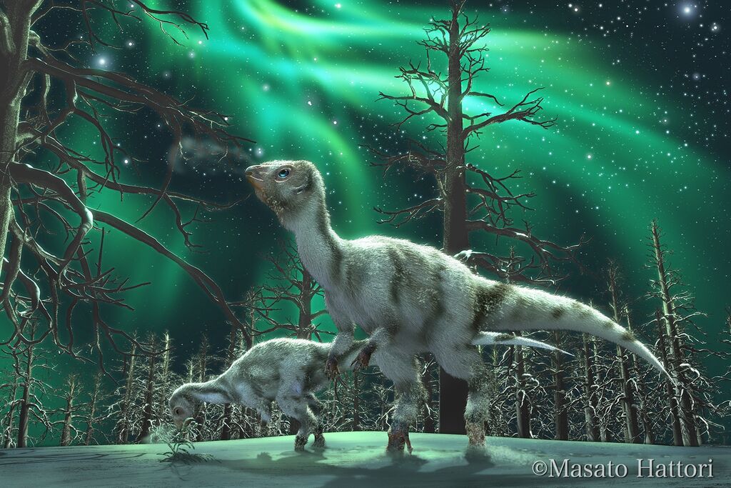 La Patata Naranja 1024px-Leaellynasaura_new