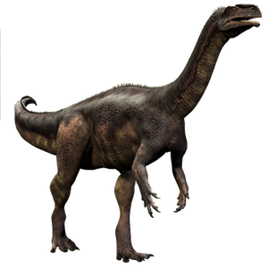 dating dinosaurs wiki 42 index fossils 43 relative dating 44 absolute dating ripples, tracks, petrified wood, dinosaur bones and hard-shelled invertebrates. dating dinosaurs wiki 42 index fossils 43 relative dating 44 absolute dating ripples, tracks, petrified wood, dinosaur bones and hard-shelled invertebrates.
