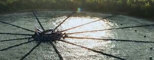 Arena of 75th Hunger Games