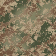 Digital_Classic_Camouflage_AW.png