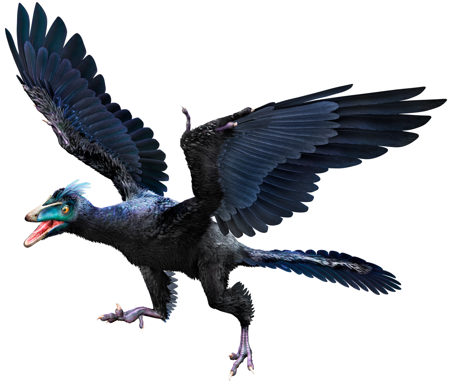  Archaeopteryx Dinopedia The Free Dinosaur Encyclopedia