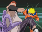 Arhat Fist