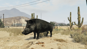 Peyote Plants Animals GTAVe Boar